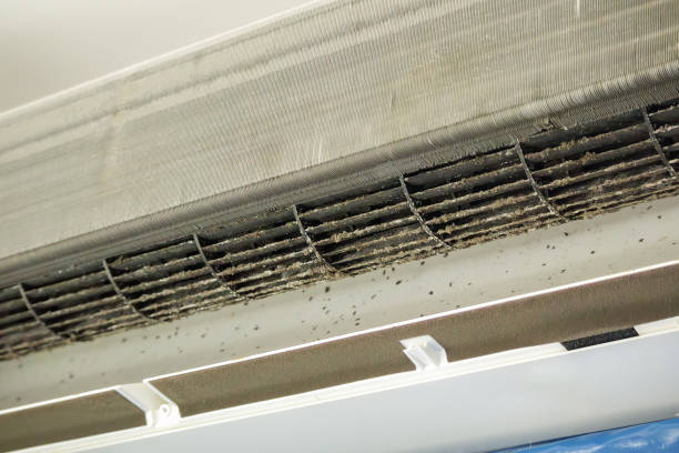 Best Affordable Duct Cleaning Services  in Galesville, MD